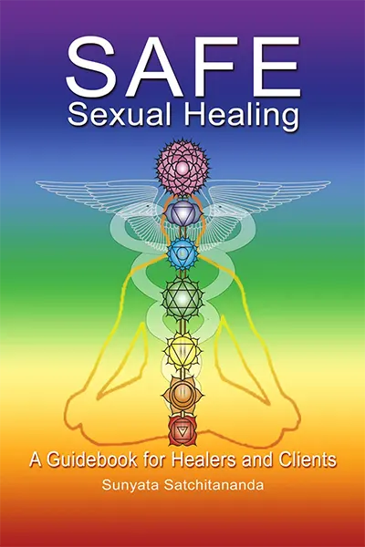 Safe Sexual Healing book cover